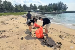 csr beach cleaning