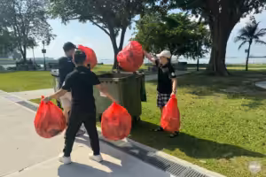 beach cleaning