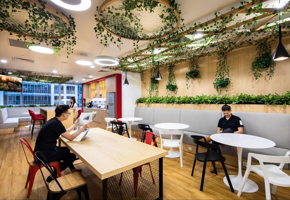 biophilic office space