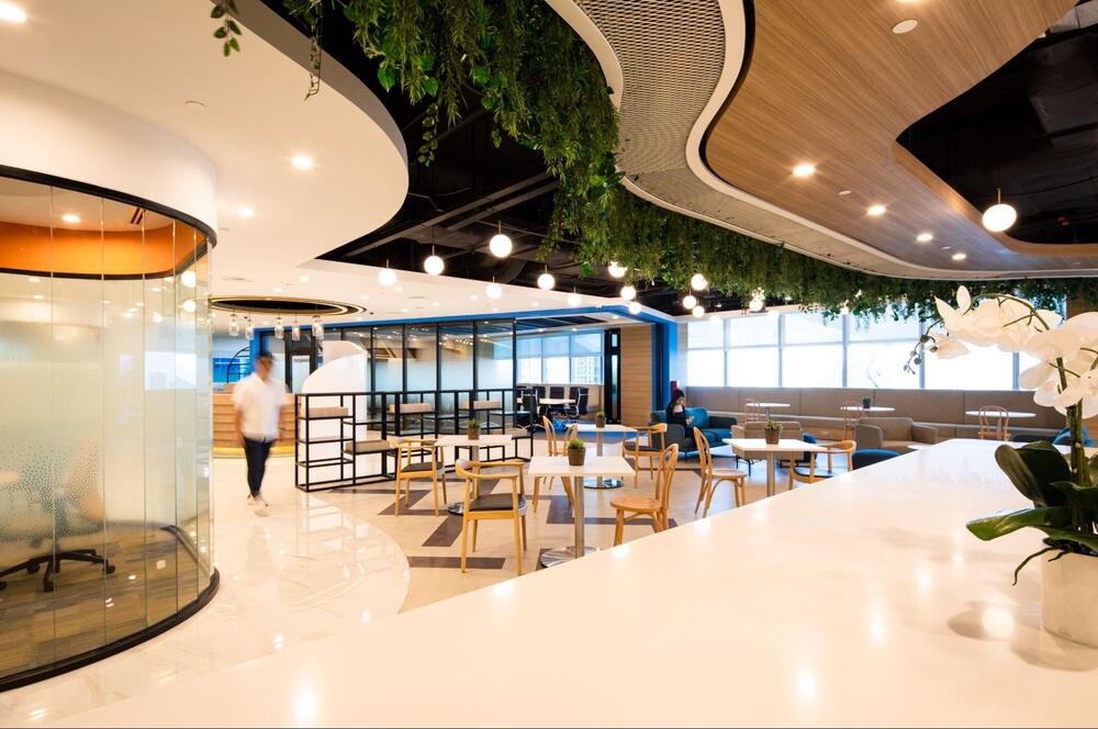 biophilic office interior design