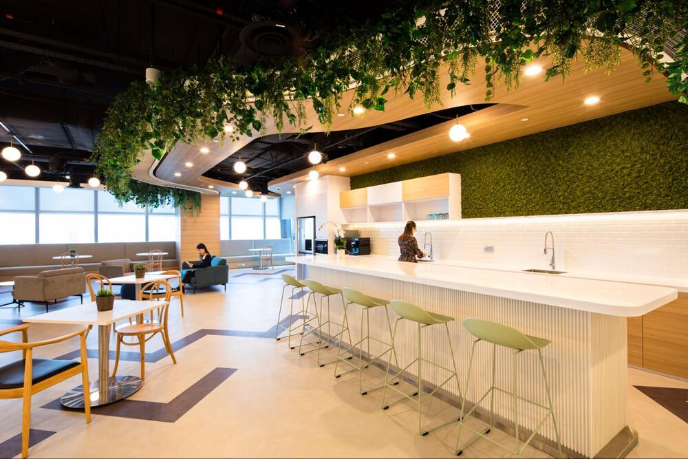 biophilic design in office