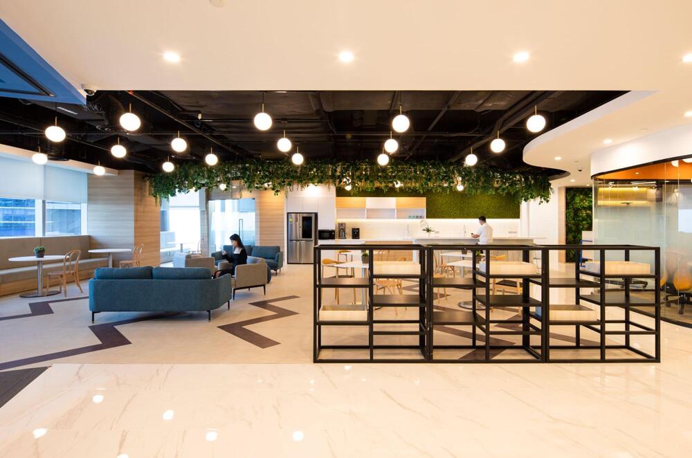 biophilic design in office