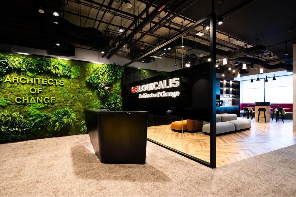 modern office plants