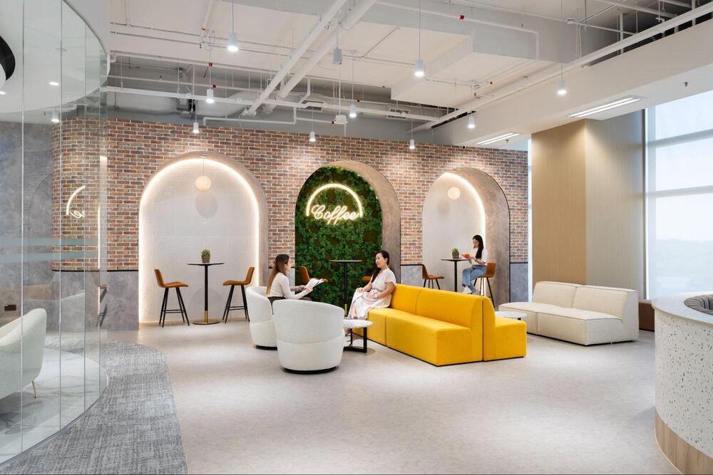 modern office plants