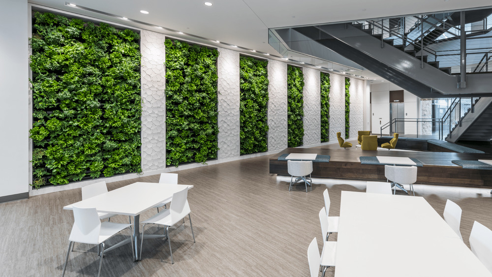 plant wall in office