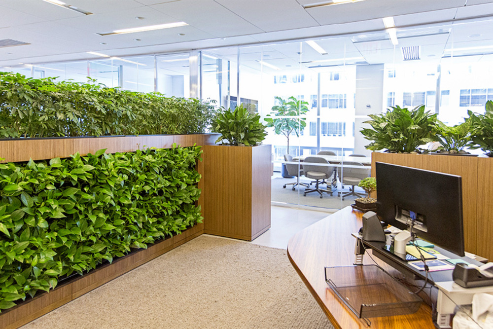 living wall for office