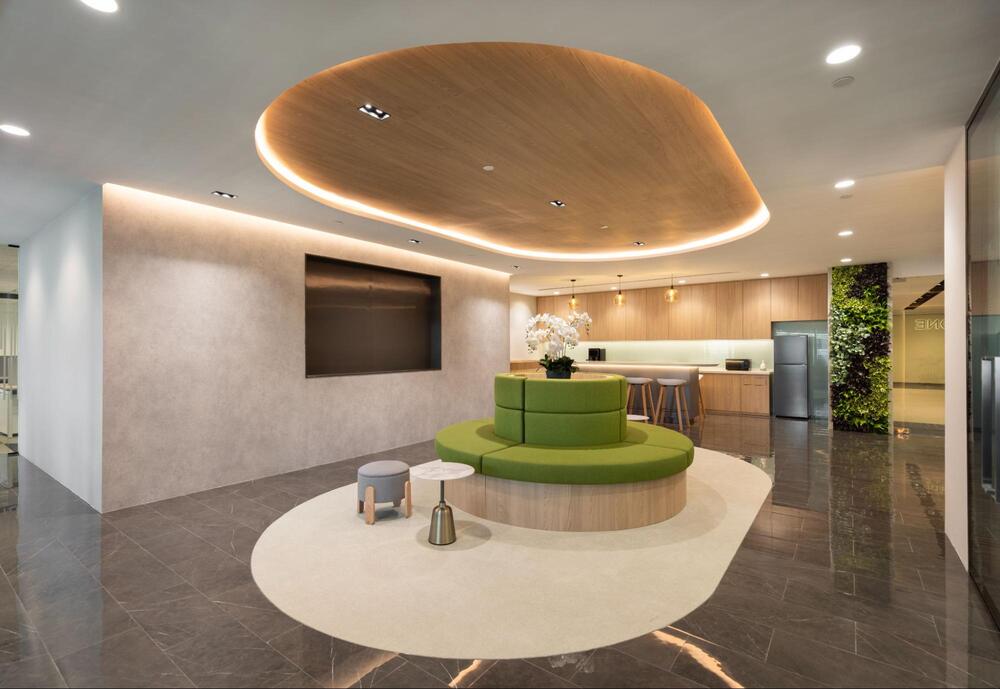 moss wall for office