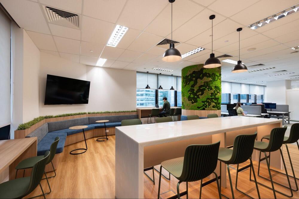 moss wall for office