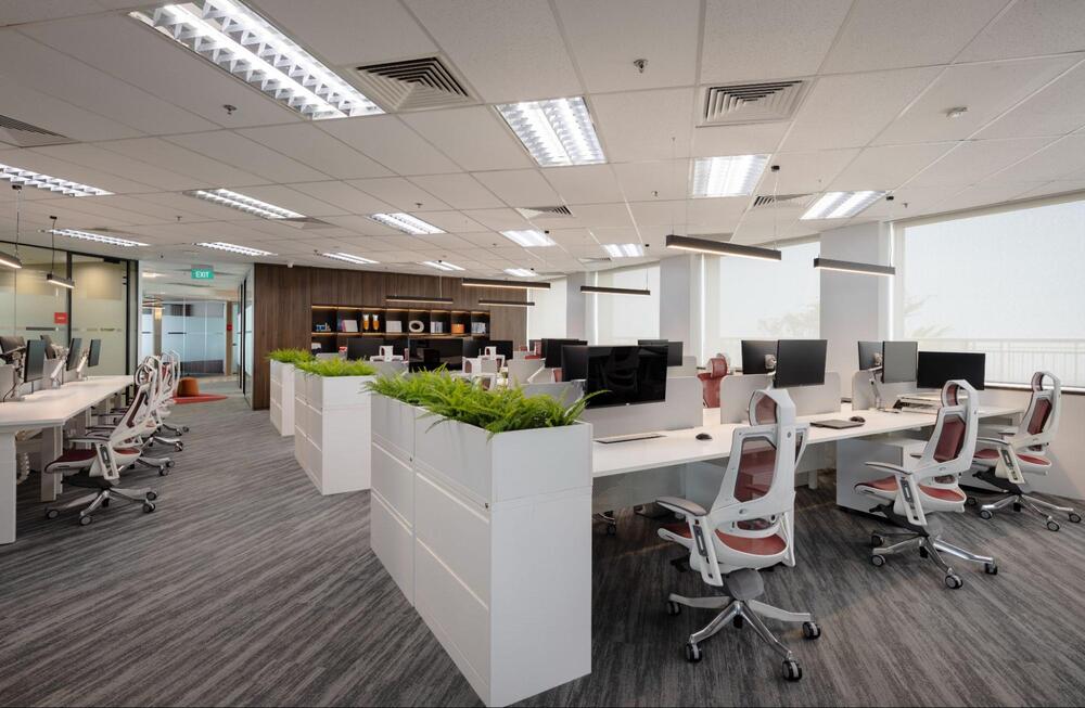 black and white office wall decor