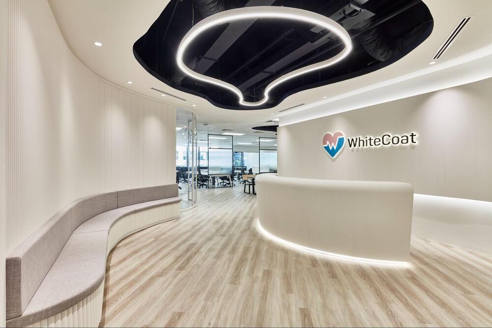 monochromatic office design