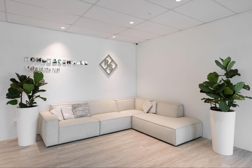 monochromatic office design